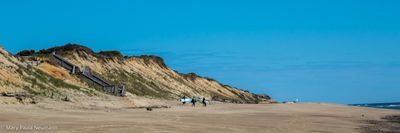 Beach, Cape Cod