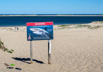 Chatham Beach, Cape Cod