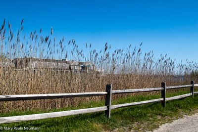 Nantucket