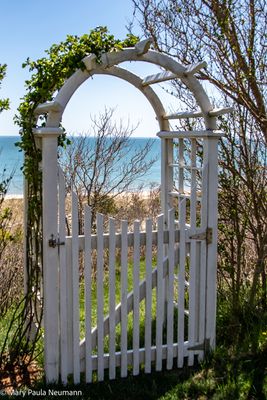 Siasconset Bluff walk, Nantucket