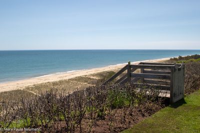 Siasconset Bluff Walk, Nantucket