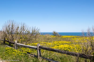Siasconset, Nantucket