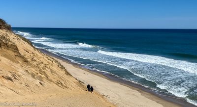 Beach, Cape Cod