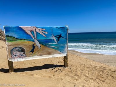Beach, Cape Cod
