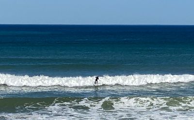 Beach, Cape Cod
