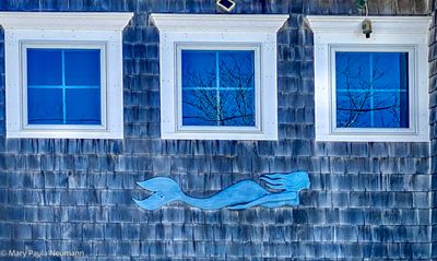 Mermaid, Cape Cod