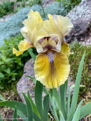 Yampa Botanical Park