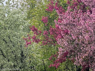 Yampa Botanical Park