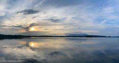 IMG_3156.jpg