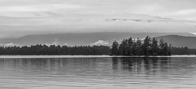 IMG_3178.jpg