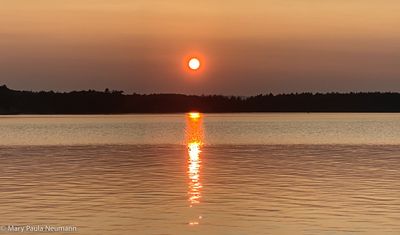 IMG_3241.jpg