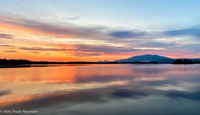 IMG_3413.jpg