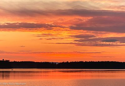 IMG_E3410.jpg