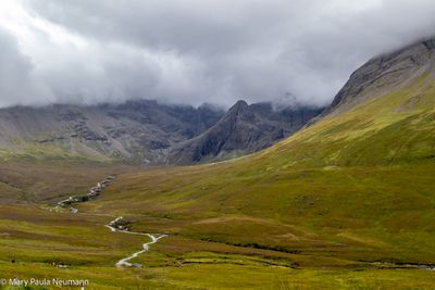 0H5A0654.jpg