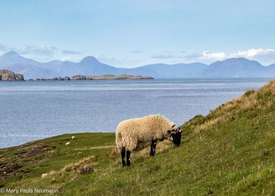 Isle of Skye