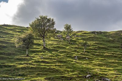 Fairy Glen, Isle of Skye