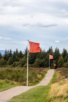 Culloden Battlefield