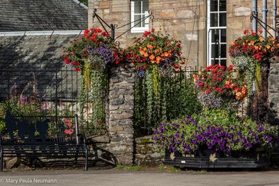 Flower pots in Pitlochry