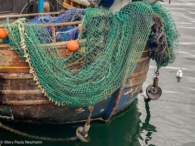 Fishing port in Oban
