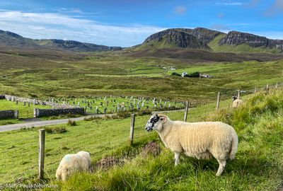 Driving along Trotternish coast