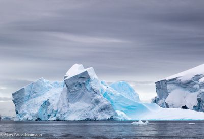 Iceberg