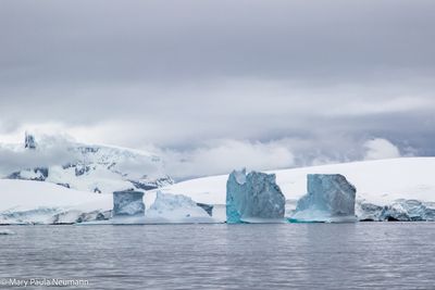 icebergs