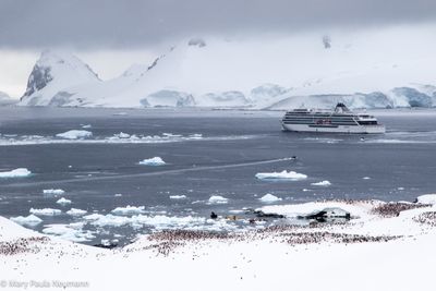 Peguin colony with Viking Polaris in backgroun