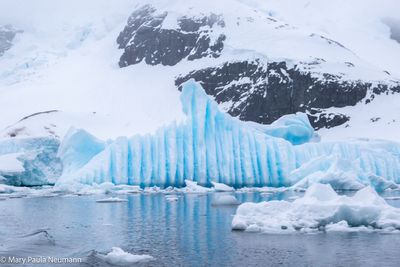 Iceberg