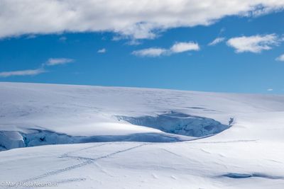 Antarctica 