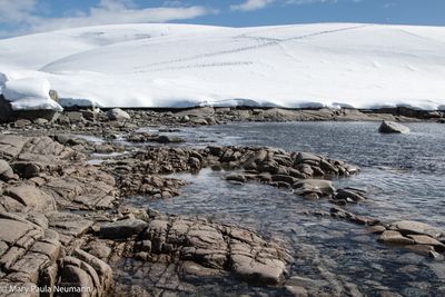 Shore of continental Antarctica
