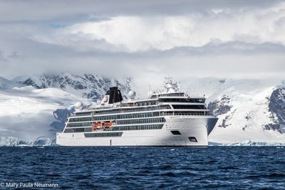 Viking Polaris