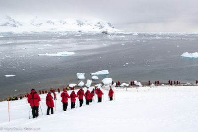 Excursion to Gentoo penguin colony