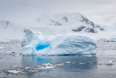 Iceberg