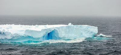 Iceberg