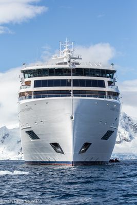 Viking Polaris