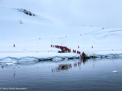 A visit to the penguin colony