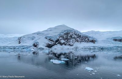 Antarctica