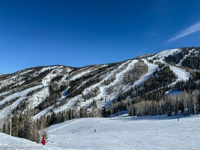 IMG_7031.jpg