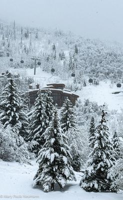 Fresh snow