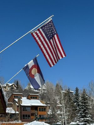 IMG_7213.jpg