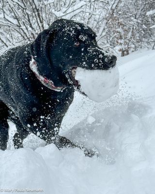IMG_7340.jpg