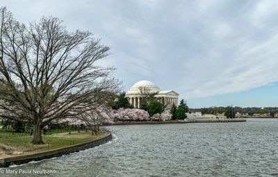 IMG_7654.jpg