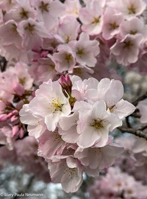 IMG_E7634.jpg