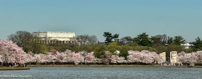 IMG_E7643.jpg