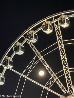 The Wheel at Victoria Warf