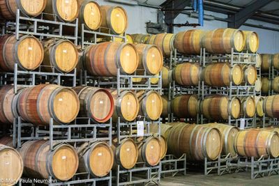 Fairview winery in the Winelands