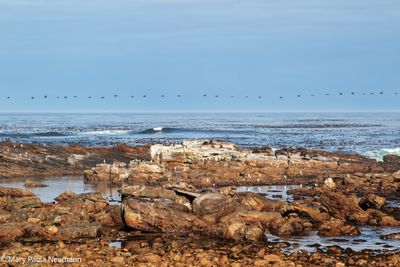 Cape of Good Hope