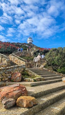 Cape Point lighthouse