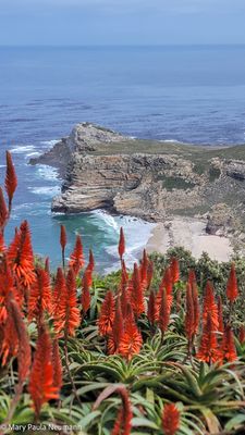 View of Cape of Good Hope from Cape Point