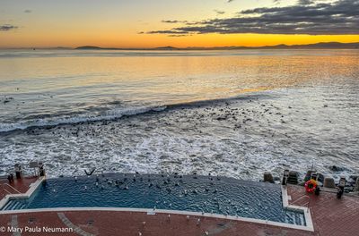 Infinity pool at Radisson Blu in Cape Town